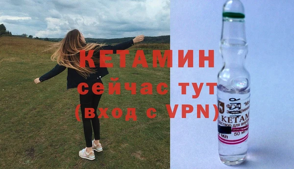 трава Абаза