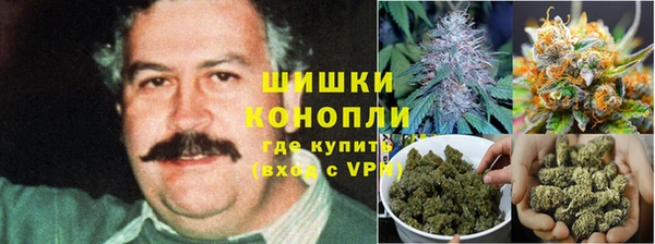 трава Абаза