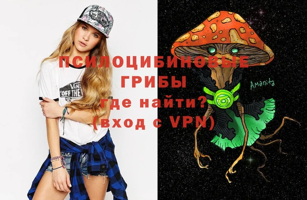 трава Абаза
